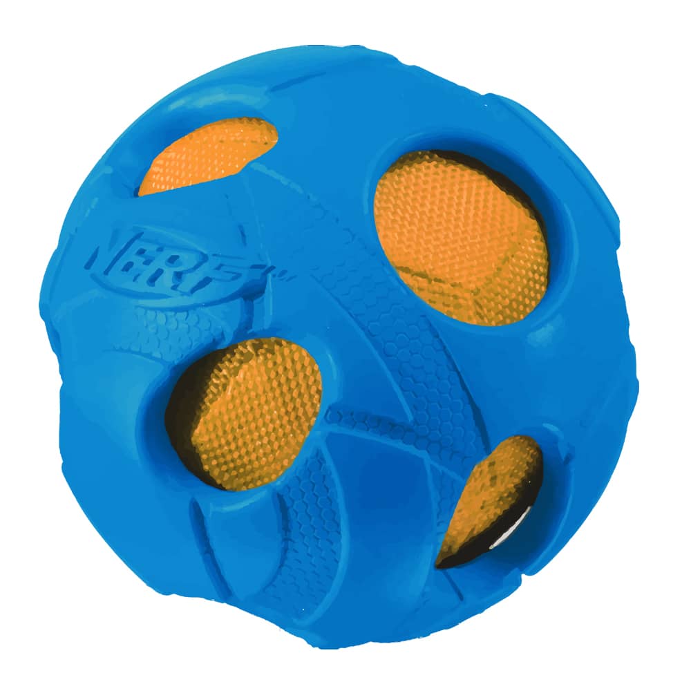 nerf dog ball