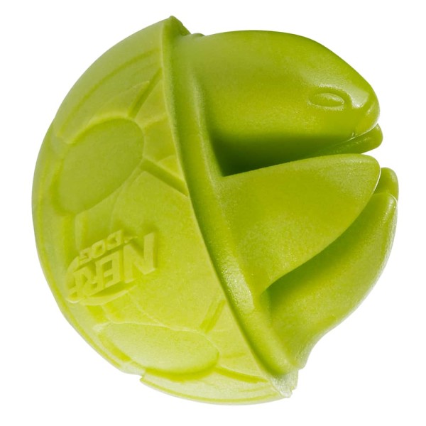 2.5in_Foam_Turtle_Ball_green-2