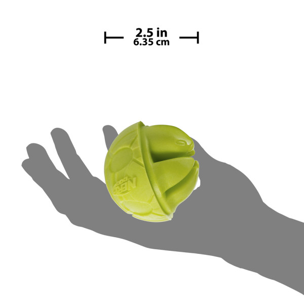 2.5in_Foam_Turtle_Ball_green-scale