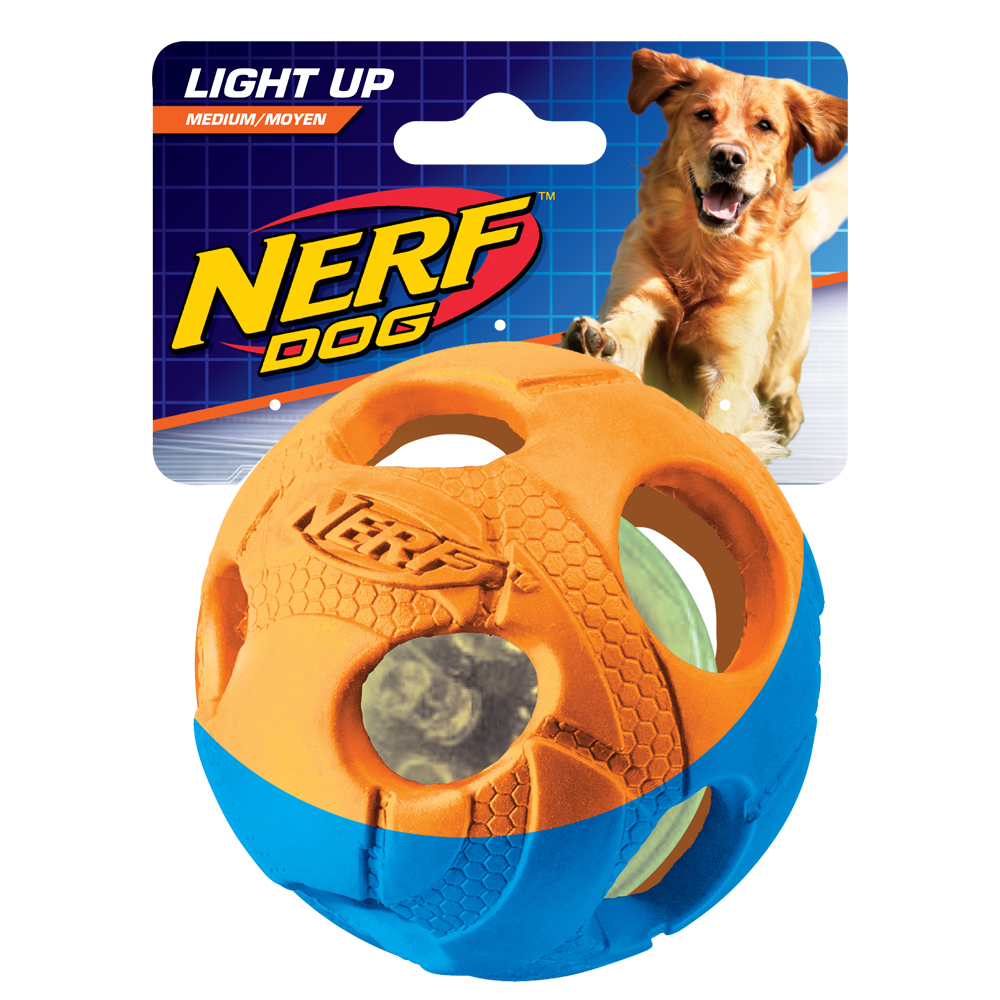 Nerf dog led ball hot sale