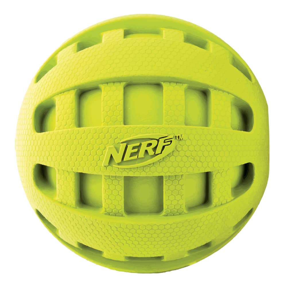 nerf dog ball