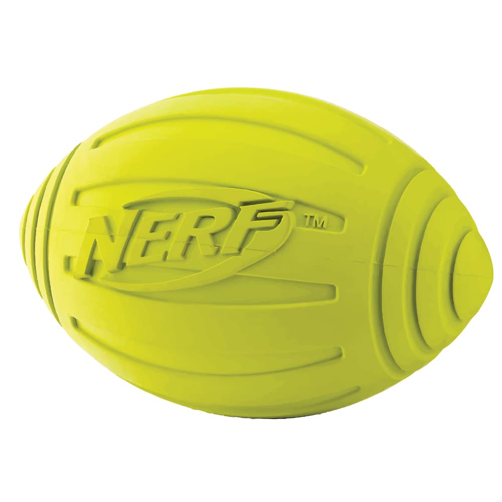 nerf rugby ball dog